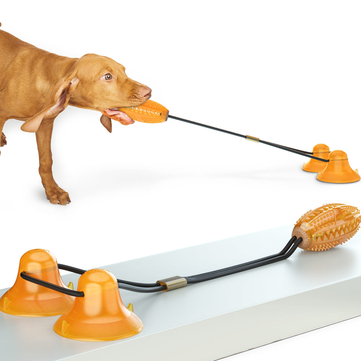 Enhance Your Pet's Playtime with the Multifunction Double Tug Rope Ball