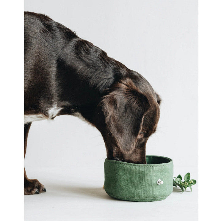 Elevate Your Pet's Travel Experience with Our Foldable Canvas Pet Feeding and Water Bowl