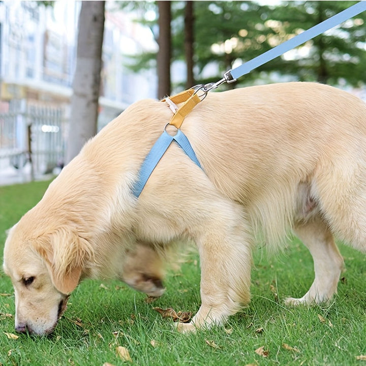Rainbow Colorblock Pet Harness Set: The Ultimate Comfort and Safety for Your Pets