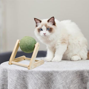 Natural Pet Catnip Balls: The Ultimate Interactive Toy for Your Feline Friend