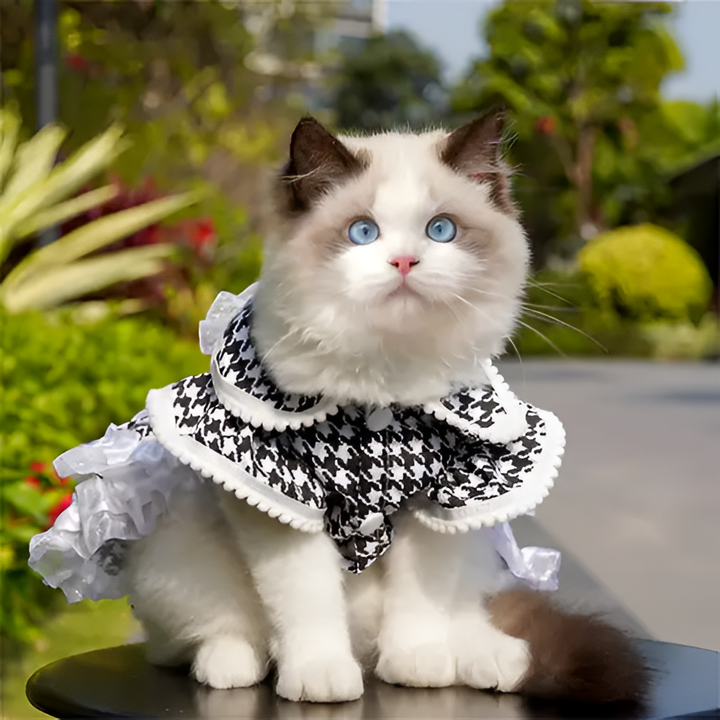 Stylish Pet Apparel for Every Season