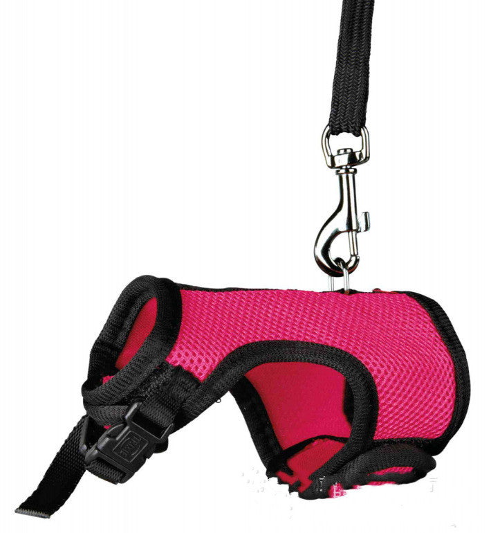Adjustable Small Pet Walking Safety Leash