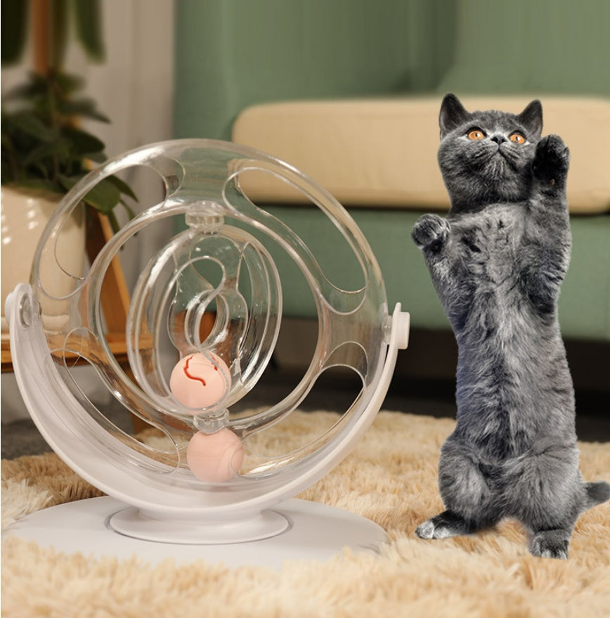Interactive Pet Educational Turntable Toy