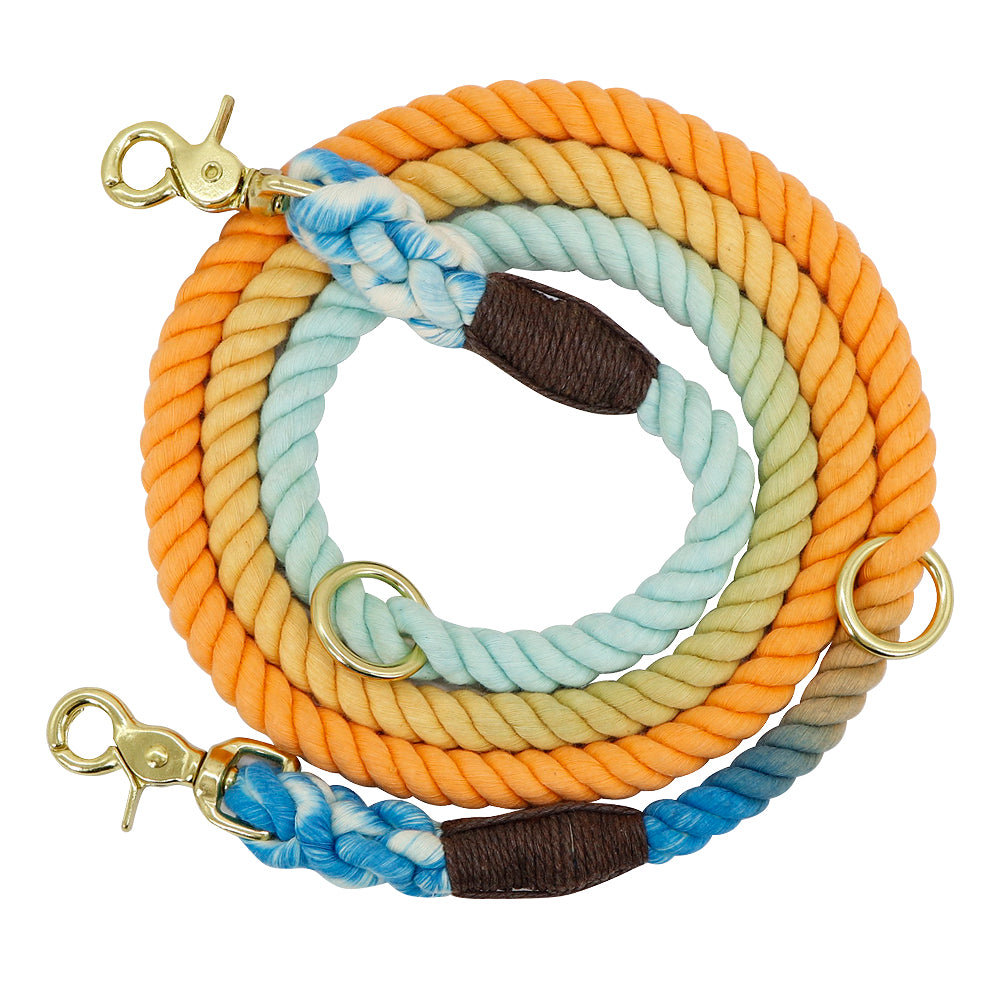 Pet Gradient Collar Leash Metal Chain Training Walking Rope