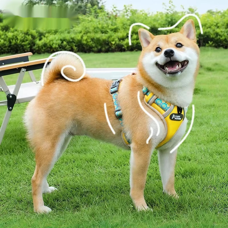 Vest Style Pet Harness Leash For Small Medium Pets