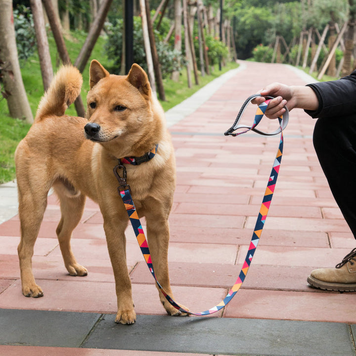 Adjustable Pet Walking Safety Dog Leash