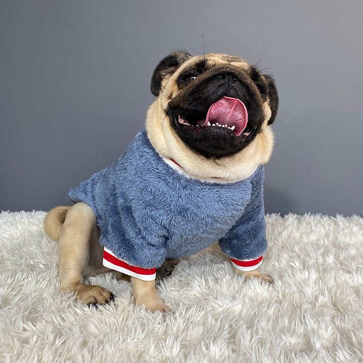 Warm Knit Pet Sweater For Cold Weather