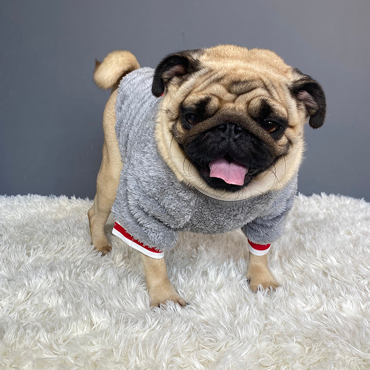 Warm Knit Pet Sweater For Cold Weather