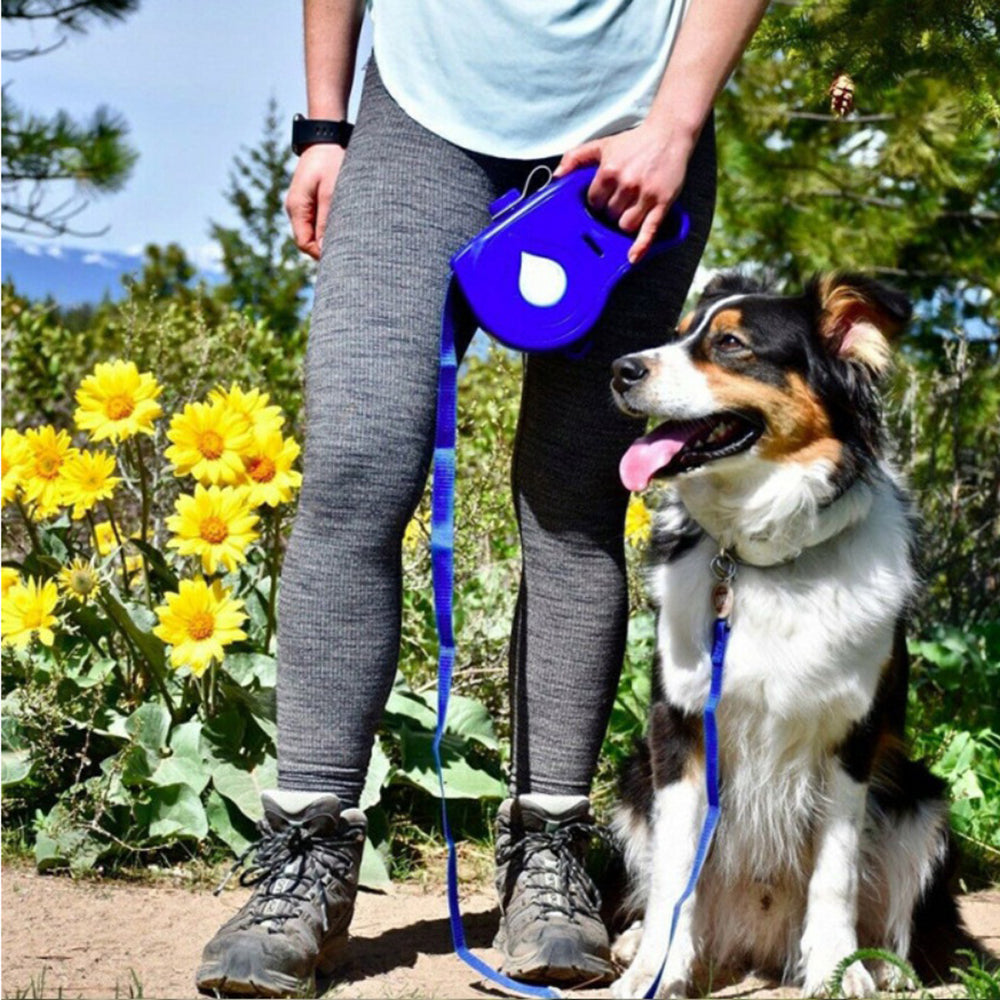Automatic Retractable Portable Pet Walking Leash