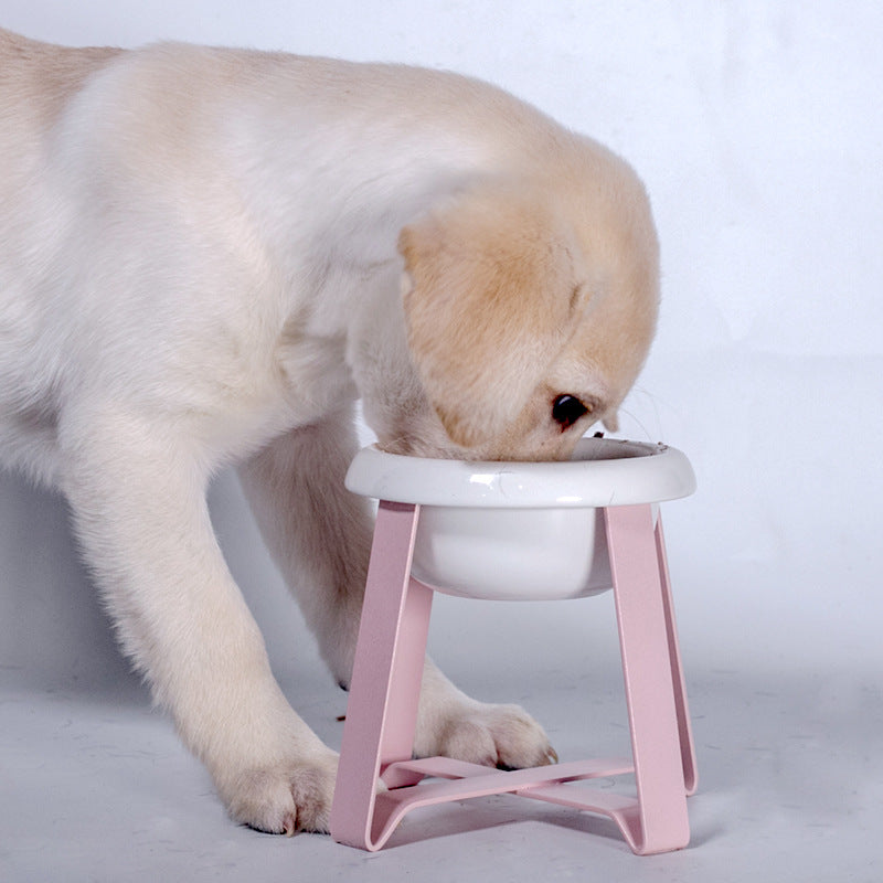 Anti Slip Creative Pet Feeding Bowl With Iron Stand 2 In 1 Food And Water Feeder
