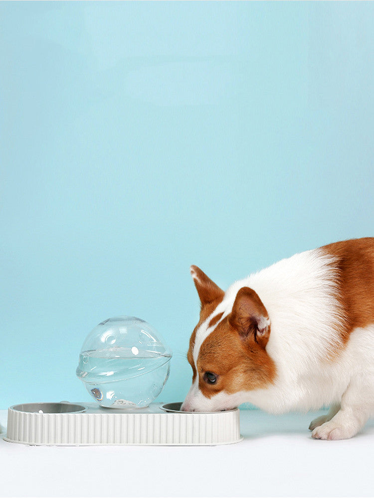 Automatic Pet Water Dispenser Feeding Bowl Plastic Drinker