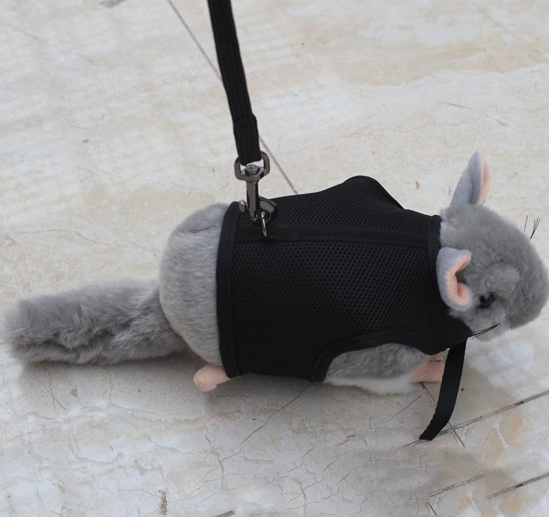 Adjustable Small Pet Walking Safety Leash