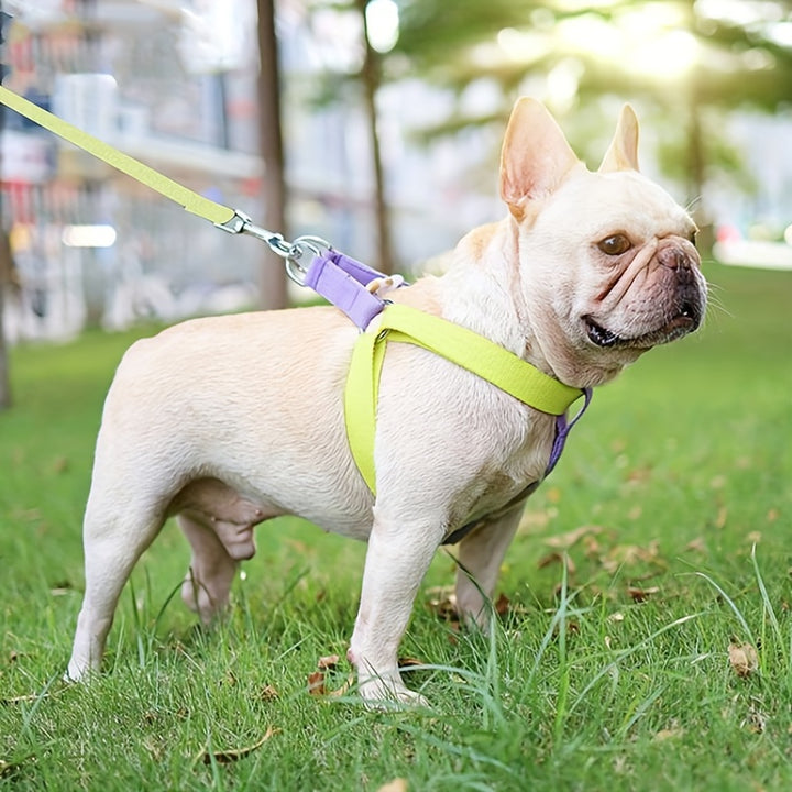 Rainbow Colorblock Pet Harness Set Anti Escape Vest With Leash Cotton Design