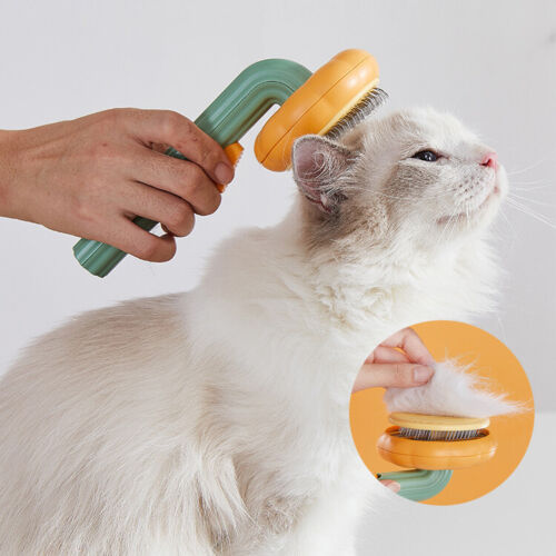 Pumpkin Design Self Cleaning Slicker Grooming Pet Brush