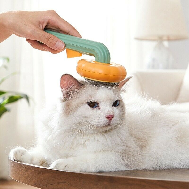 Pumpkin Design Self Cleaning Slicker Grooming Pet Brush