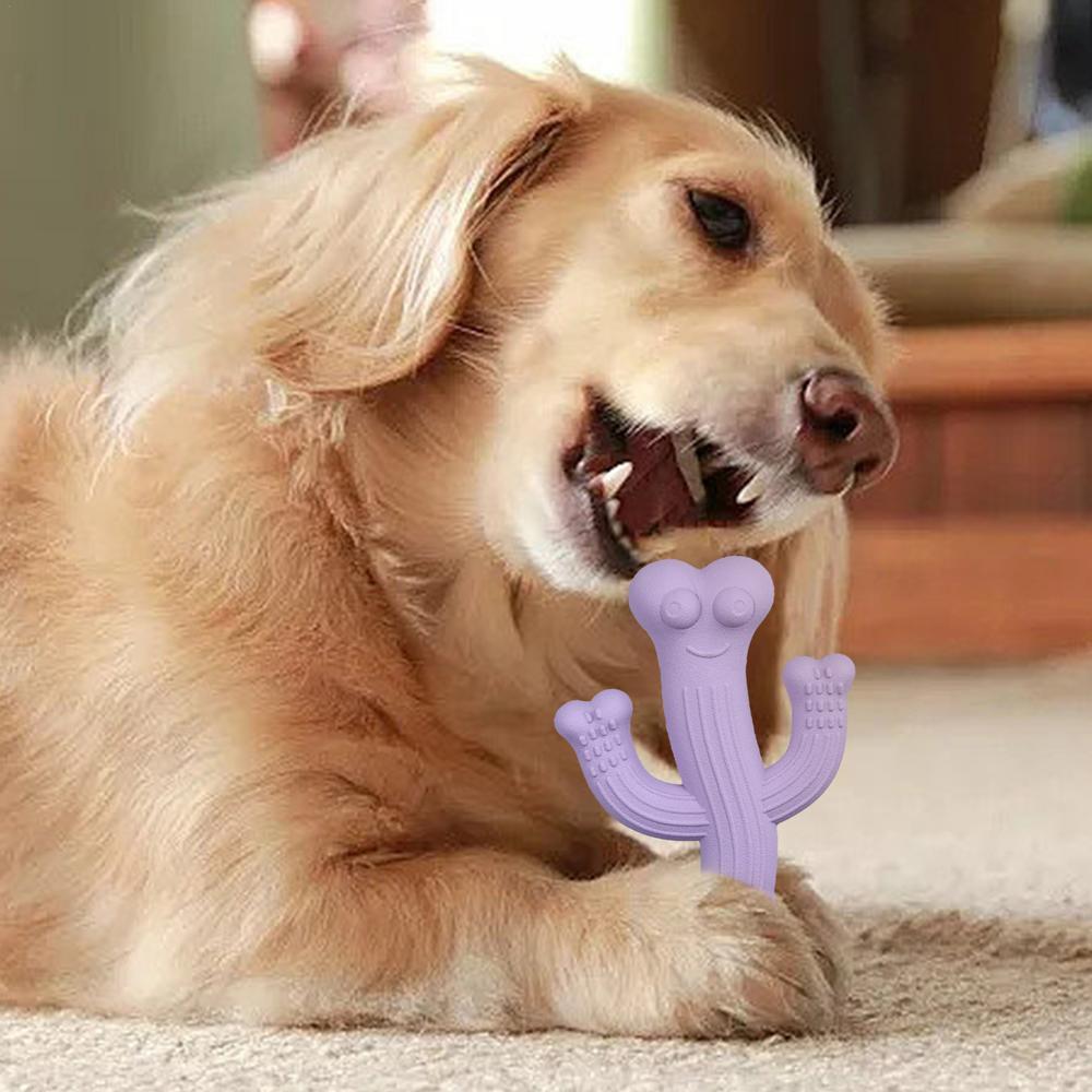 Durable Cactus Pet Chew Toy For Interactive Play