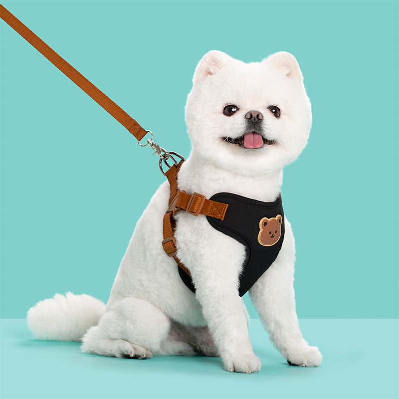 Outing Adjustable Pet Walking Safety Strap Leash