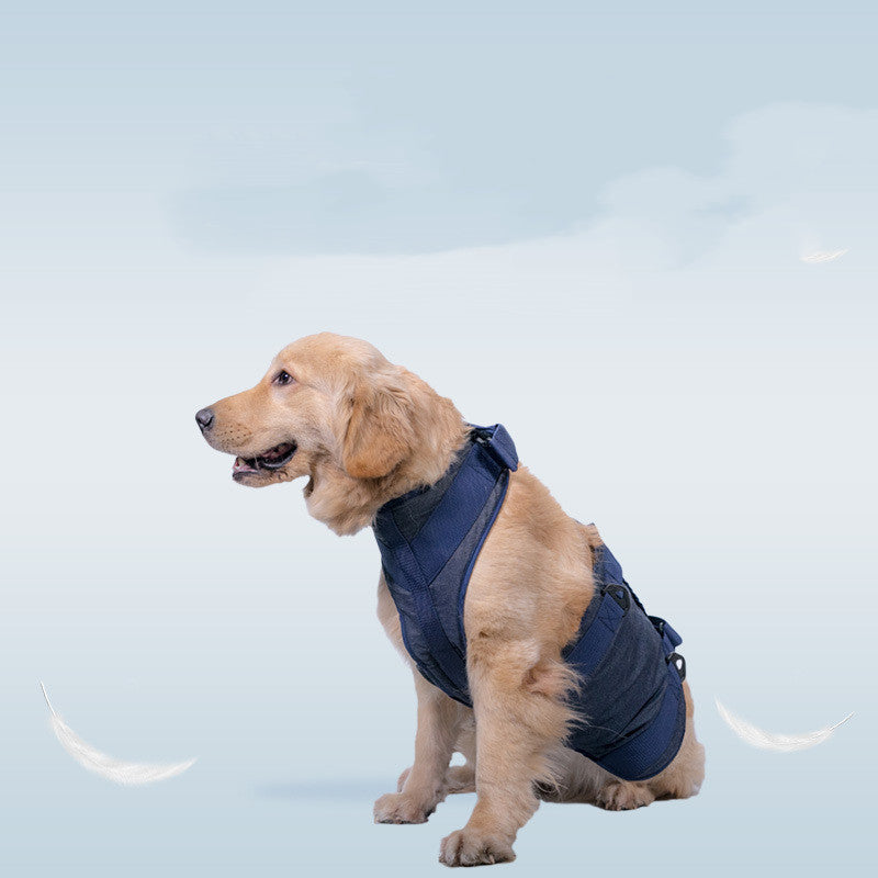 Durable Pet Leash For Walking And Training