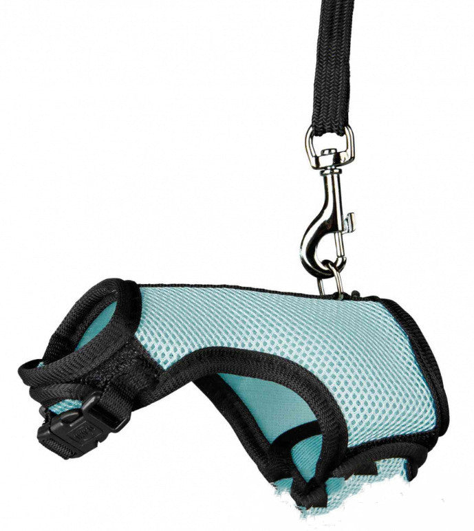 Adjustable Small Pet Walking Safety Leash