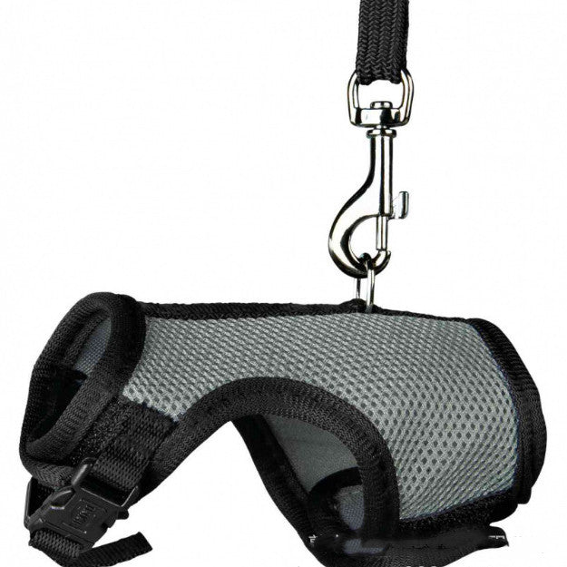 Adjustable Small Pet Walking Safety Leash