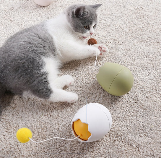 Interactive Funny Pet Play Toy For Entertainment
