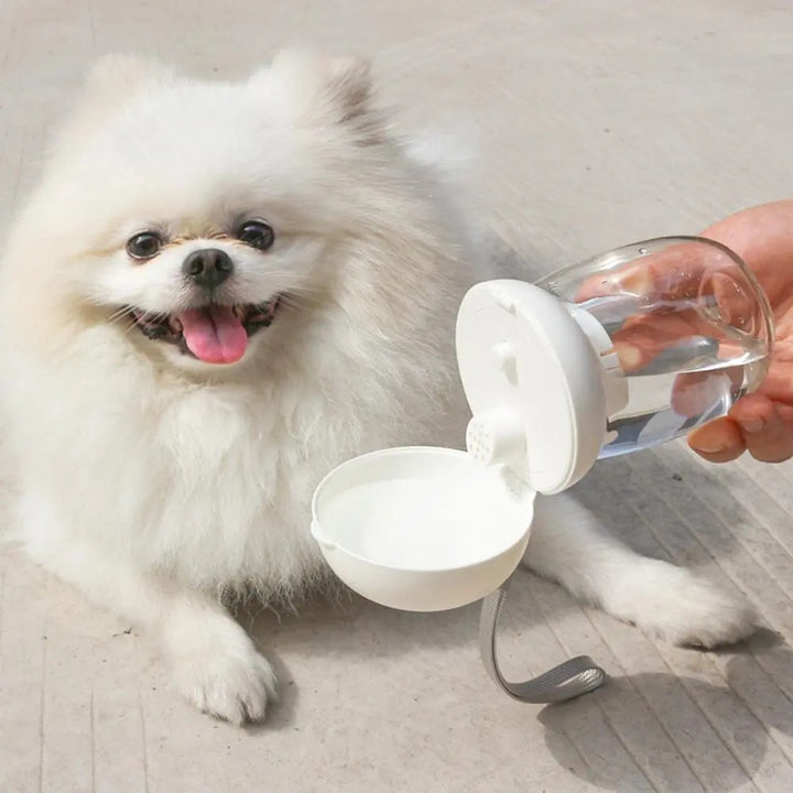 Portable Pet Water Bottle With Lanyard Travel Bowl