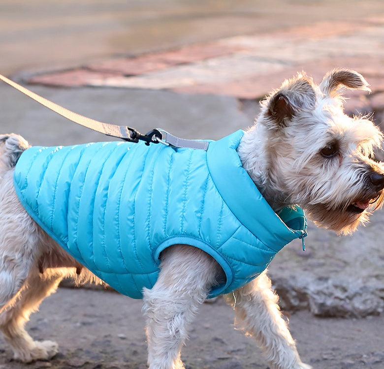 Nylon Zipper Pet Jacket For Autumn And Winter Warmth