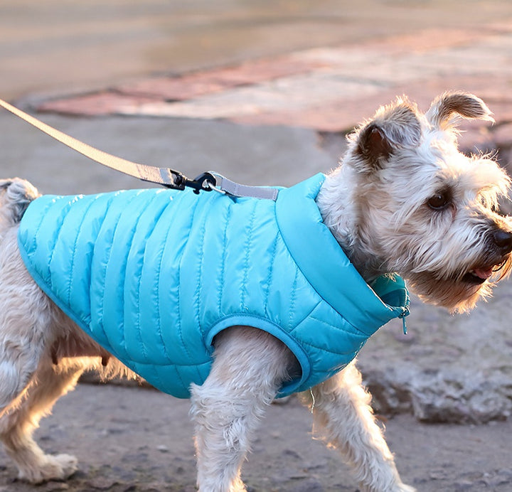 Nylon Zipper Pet Jacket For Autumn And Winter Warmth