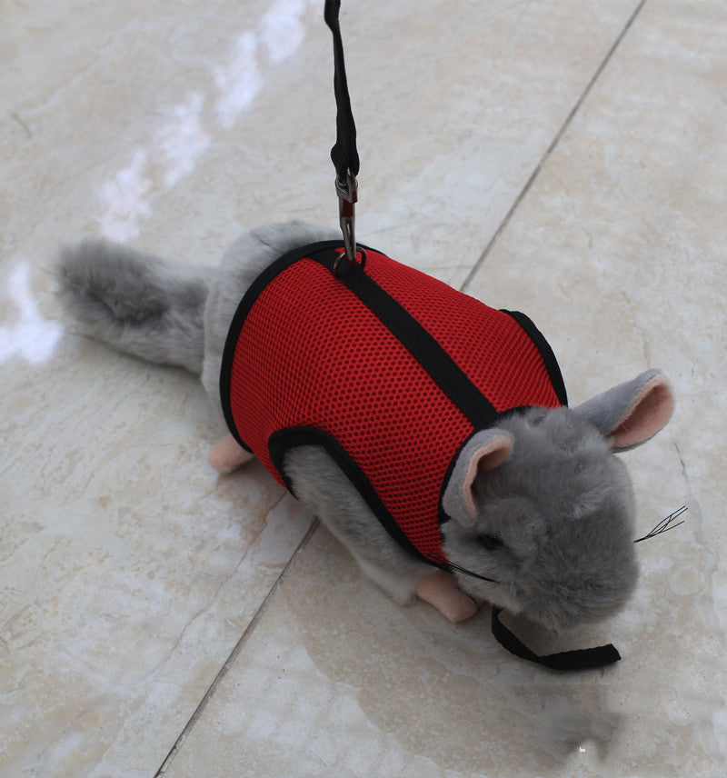 Adjustable Small Pet Walking Safety Leash