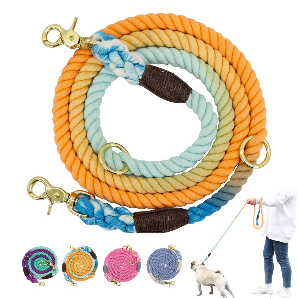 Pet Gradient Collar Leash Metal Chain Training Walking Rope