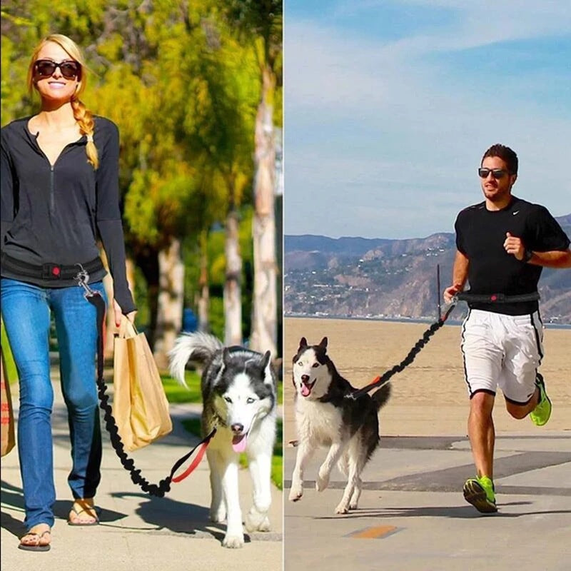 Adjustable Harness Collar Jogging Pet Walking Leash