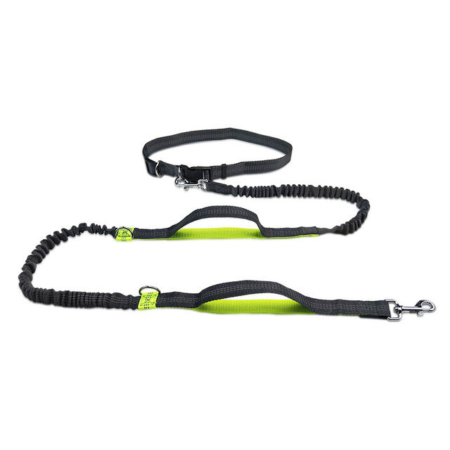 Adjustable Harness Collar Jogging Pet Walking Leash