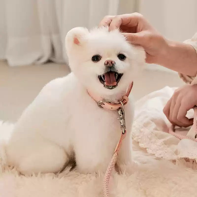 Leather Handheld Rope Collar Pet Walking Safety Leash