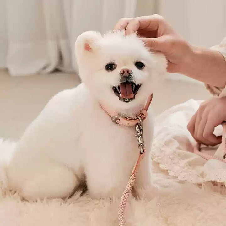Leather Handheld Rope Collar Pet Walking Safety Leash