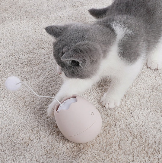 Interactive Funny Pet Play Toy For Entertainment