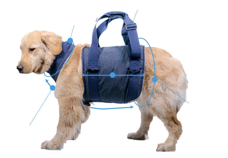 Durable Pet Leash For Walking And Training
