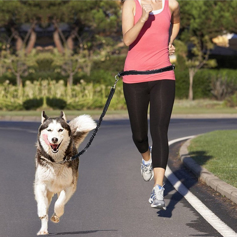 Adjustable Harness Collar Jogging Pet Walking Leash