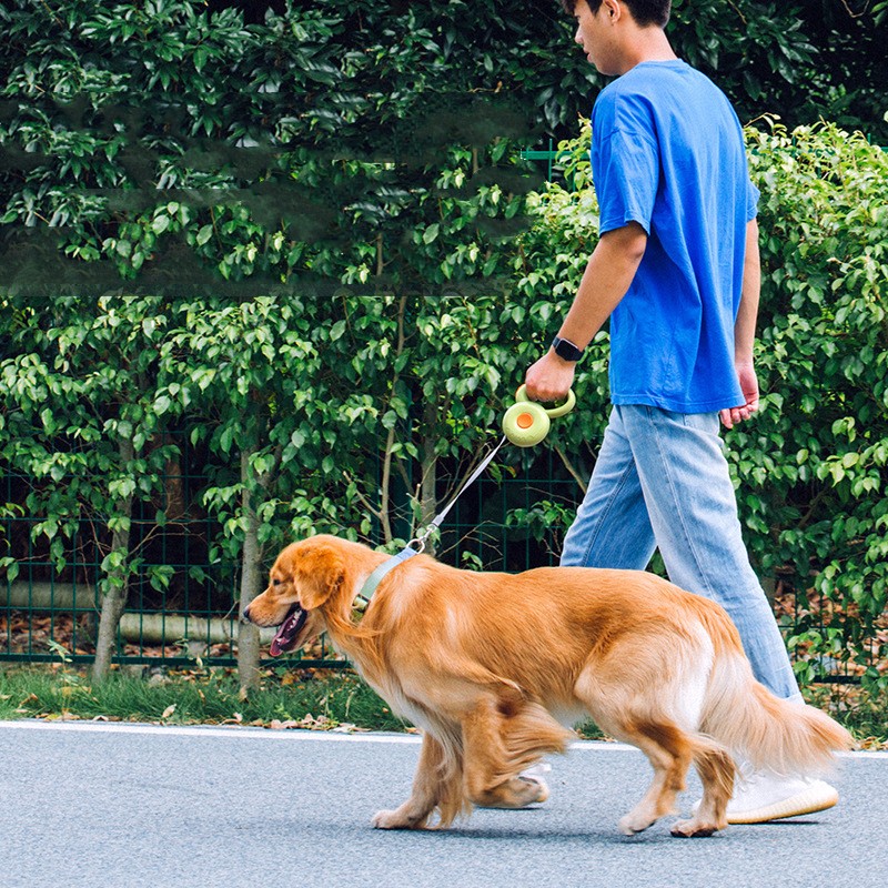 Retractable Reflective Rope Pet Walking Safety Leash