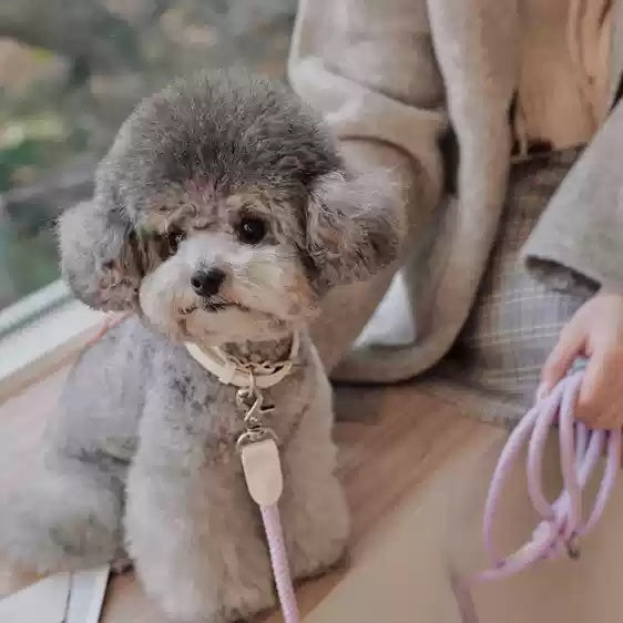 Leather Handheld Rope Collar Pet Walking Safety Leash