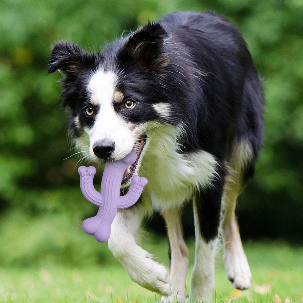 Durable Cactus Pet Chew Toy For Interactive Play