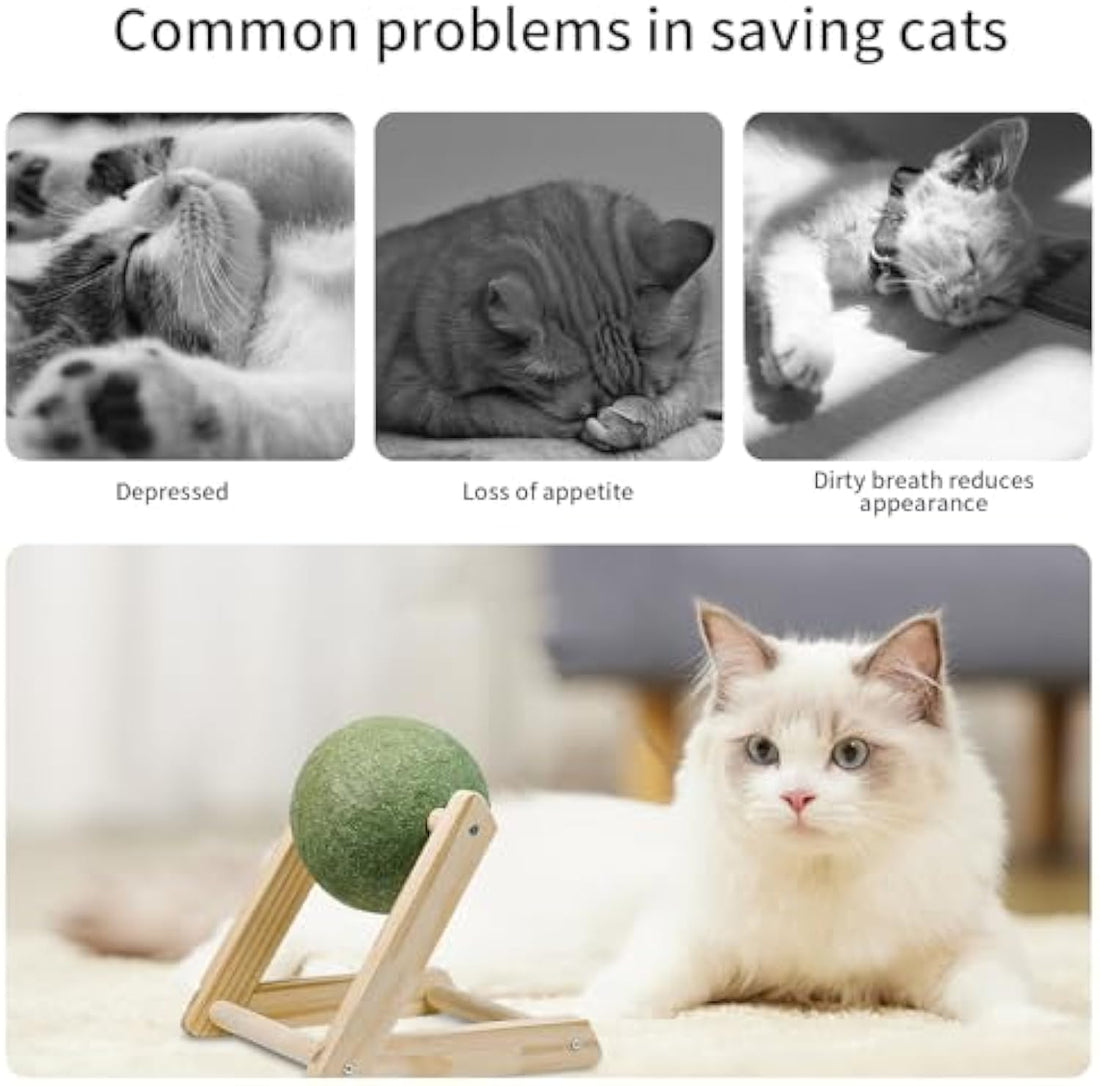 Natural Pet Catnip Balls With Holder Interactive Toy