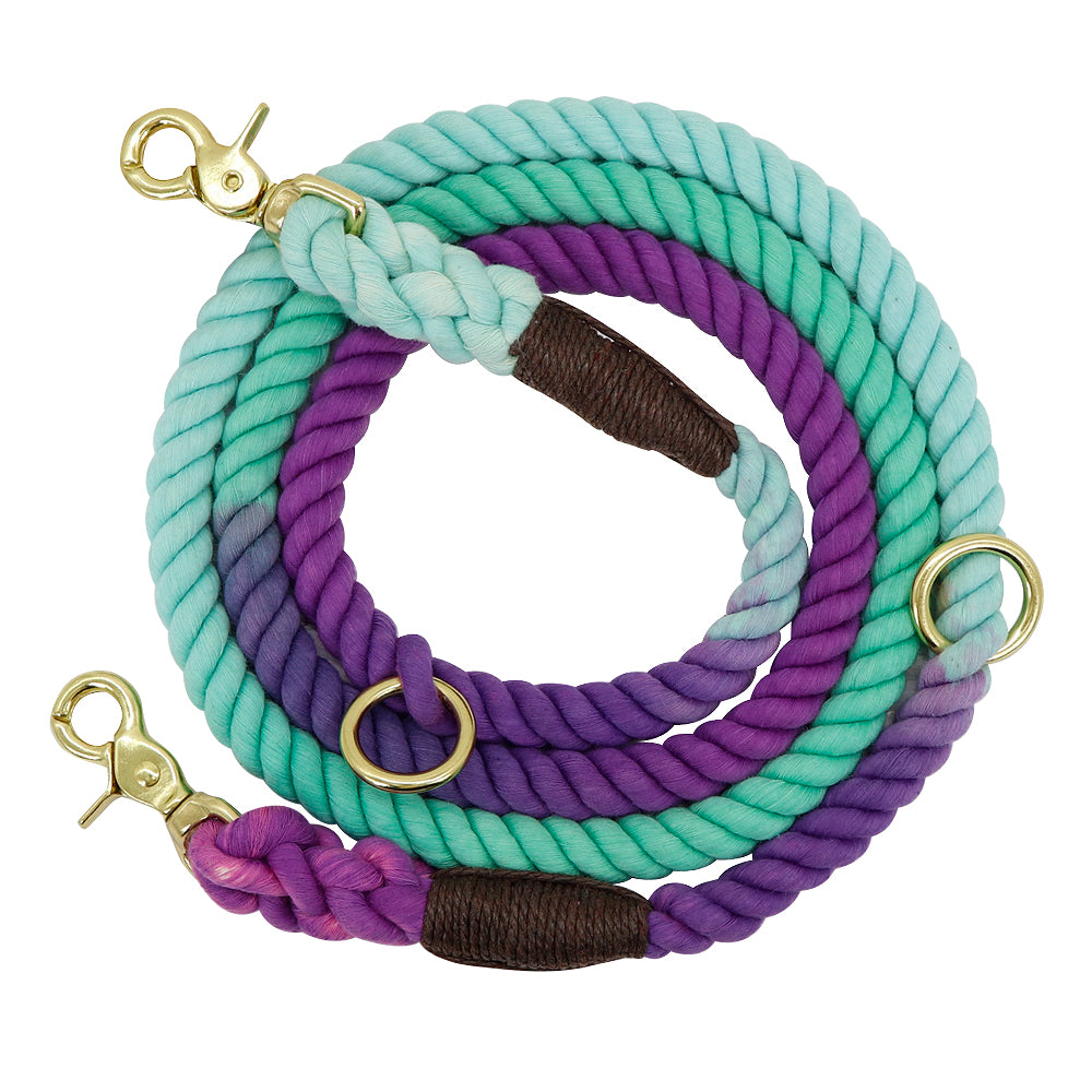 Pet Gradient Collar Leash Metal Chain Training Walking Rope