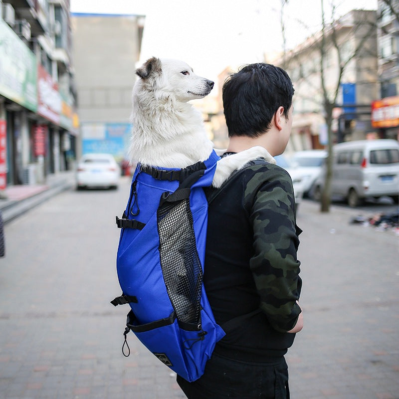 Pet Portable Outdoor Travel Backpack Double Shoulder Carrier Bag