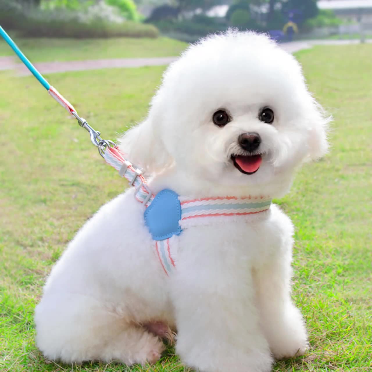 Breathable Chest Vest Adjustable Pet Walking Leash Harness