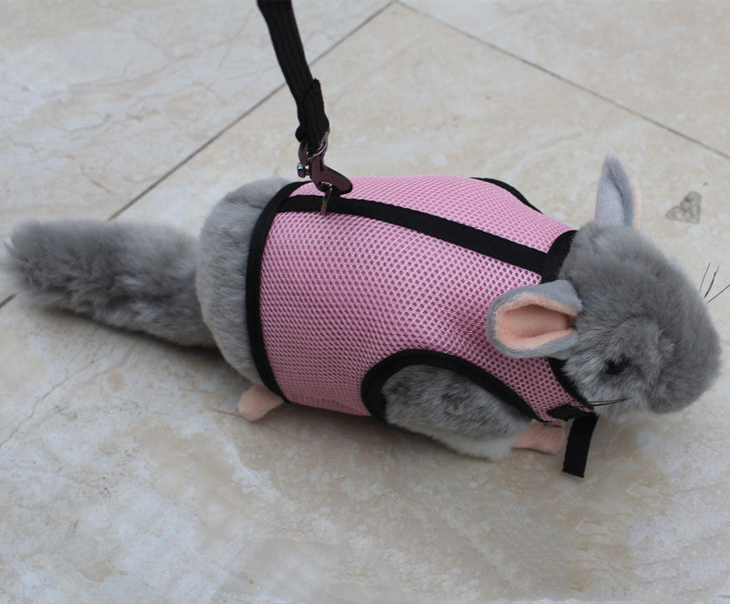 Adjustable Small Pet Walking Safety Leash