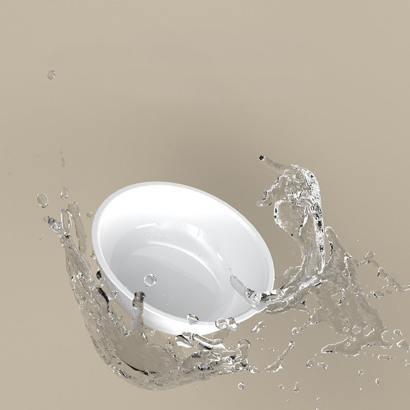 Tilted Stainless Steel Pet Feeding Bowl Ergonomic Design