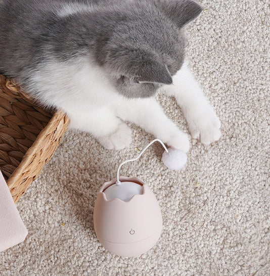 Interactive Funny Pet Play Toy For Entertainment