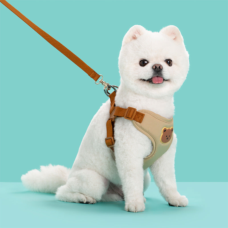 Outing Adjustable Pet Walking Safety Strap Leash