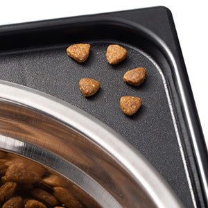 Elevated Anti Tumble Neck Support Feeding Bowl Pet Dish