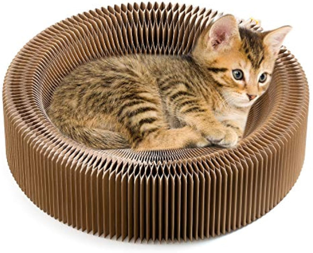 Collapsible Cardboard Pet Scratcher Lounge Bed For Indoor Use